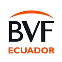 VisionFund logo