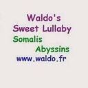 Logo de WALDO'S
