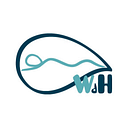 Logo de WEB DEL HIDROMASAJE SL