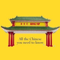 Wing Yip Food Holdings Group Limited American Depositary Shares