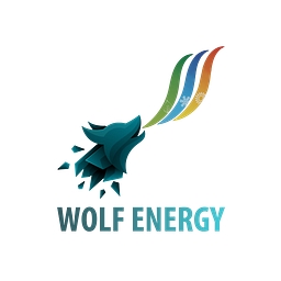 Wolf Energy Services Inc.
