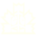 Woodridge and Scott Consulting logo