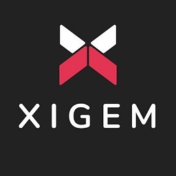 Xigem Technologies Corporation