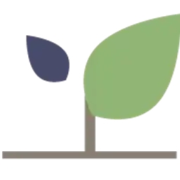Xynergy Holdings Inc