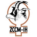ZCCM Investments Holdings B Aktie