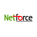 Logo de netforce international inc.
