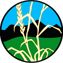 Logo de reclamation design studio