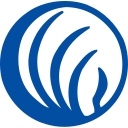 NAMI logo