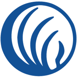National Alliance on Mental Illness in Delaware Foundation Logo