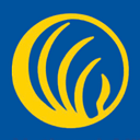 NAMI Greenville SC logo