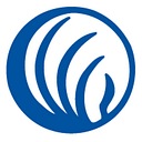 Nami Illinois Inc logo