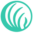 Nami Keystone Pennsylvania logo