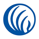 Nami - Virginia logo