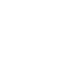 NAMO Developments logo