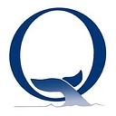 Naniq Global logo