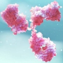 Nanobot Medical Animation Studio logo