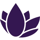 nanolex.bg icon