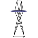 Nanospective logo