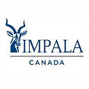 North American Palladium Ltd. logo