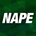 NAPE SC LTDA - ME logo