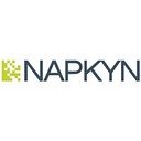 Napkyn Analytics logo
