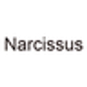 narcissus.jp icon