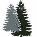Nargi Landscaping Corp