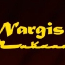 Nabieva, Nargis logo
