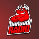 narodni.ba logo