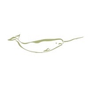 Narwhal Capital Management logo