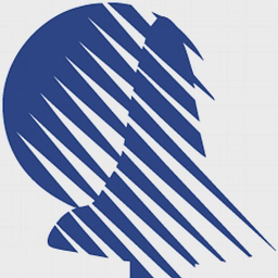 avatar logo