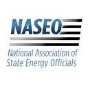 Naseo Institute Inc logo