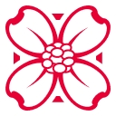 Naskila Casino logo