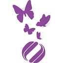 Nathan Yip Foundation logo