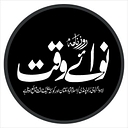 nation.com.pk logo