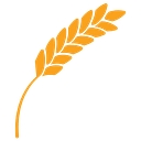 National Associates, Inc. logo