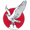 National Cement Company PSC logo