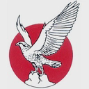 National Cement logo