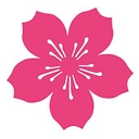 National Cherry Blossom Festival logo