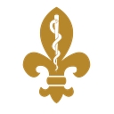 National Ems Academy logo
