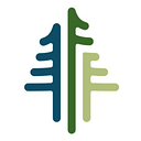 &nbsp; National Forest Foundation logo