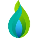 National Gas logo
