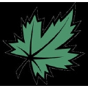 The National Golf Club Of Canada logo