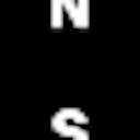 National Sawdust logo
