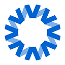 National Vision Holdings Logo