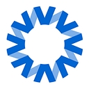 National Vision Inc. logo