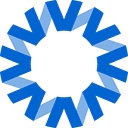 National Vision logo