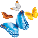 Nationwide Childrens Hospital logo