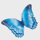 Nationwide Children's Hospital logo