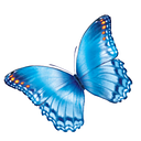 Nationwide Childrens Hospital logo
